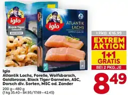 Billa Iglo Atlantik Lachs, Forelle, Wolfsbarsch, Goldbrasse, Black Tiger Garnelen, ASC, Dorsch div. Sorten, MSC od. Zander Angebot
