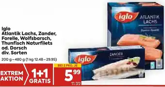 Billa Iglo Atlantik Lachs, Zander, Forelle, Wolfsbarsch, Thunfisch Naturfilets, Lachsforelle Od. Dorsch Div. Sorten 200g Angebot