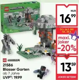 Maximarkt 21586 Blasser Garten Angebot
