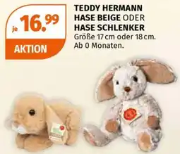 Müller Teddy hermann hase beige oder hase schlenker Angebot