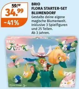 Müller Brio flora starter-set blumendorf Angebot