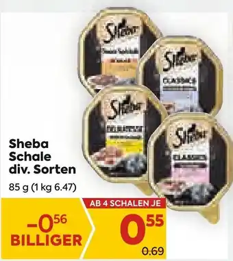 Billa Sheba Schale div. Sorten Angebot