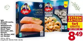 Billa Iglo Atlantik Lachs Angebot