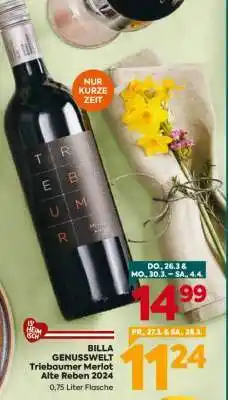 Billa BILLA GENUSSWELT Triebaumer Merlot Alte Reben 2024 Angebot
