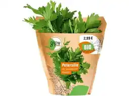 OBI Grow by Obi Bio-Petersilie Angebot