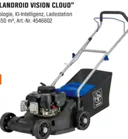 OBI Lux-Tools Benzin-Rasenmäher B-RM-132/40 Angebot