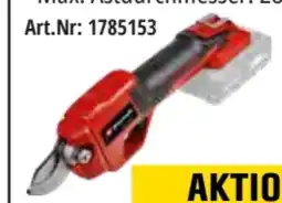 OBI Einhell Akku-Astschere GE-LS 18 Li Solo Angebot