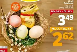 Billa Lindt Goldhase Angebot