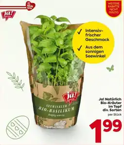 Billa Ja! Natürlich Bio-Kräuter Angebot