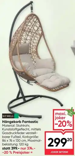 Maximarkt Hängekorb Fantastic Angebot