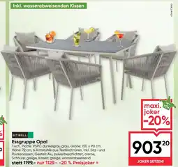 Maximarkt Essgruppe Opal Angebot