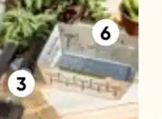 Maximarkt Gemüsekorb Angebot