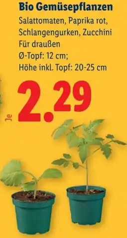 Lidl Bio Gemüsepflanzen Angebot