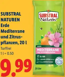 Lidl Substral naturen erde mediterrane und zitrus- pflanzen Angebot