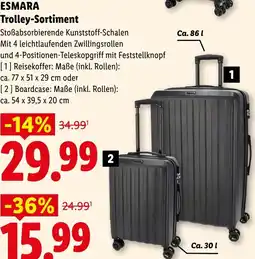 Lidl Esmara trolley-sortiment Angebot