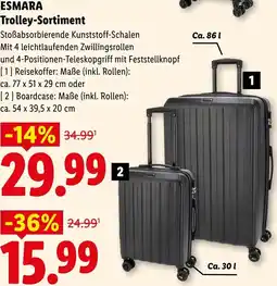 Lidl Esmara trolley-sortiment Angebot