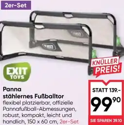 Maximarkt Panna stählernes Fußballtor Angebot