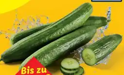 Lidl Gurken Angebot