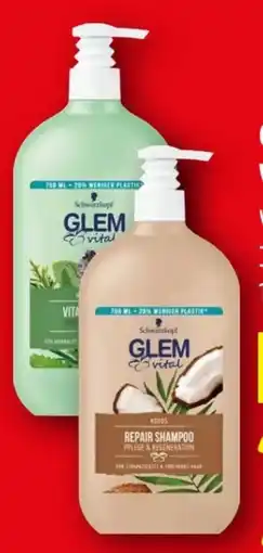 Lidl Schwarzkopf Glem Vital Shampoo Angebot