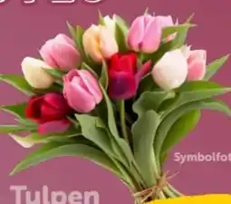 Interspar Schnittblumen Tulpen Angebot