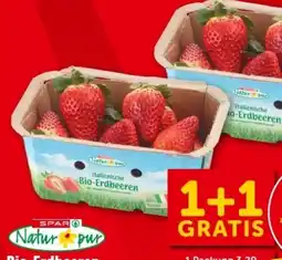 Interspar Spar Natur pur Bio-Erdbeeren Angebot