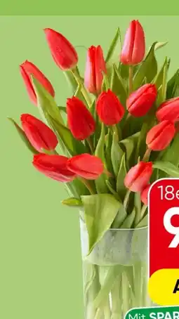 Spar Tulpen Angebot