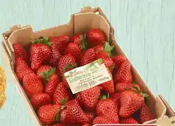 Spar Spar Erdbeeren Angebot