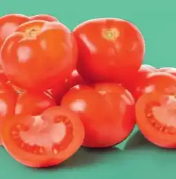 PENNY Tomaten Angebot