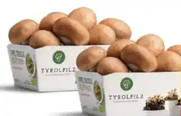 MPreis Tyrolpilz BIO Steinchampignons Angebot