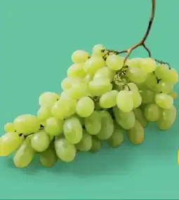 PENNY Trauben Angebot