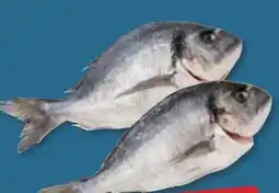 PENNY Goldbrasse Angebot