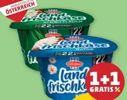 PENNY Schärdinger Landfrischkäse Angebot