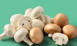 PENNY Champignons Angebot