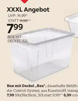 XXXLutz Box mit deckel Angebot