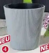 Norma Pflanztopf Floria Angebot