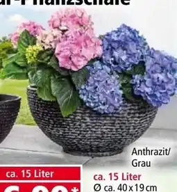 Norma Struktur Pflanzschale Angebot