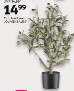 Mömax Dekobaum olivenbaum Angebot
