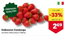 MPreis Erdbeeren Candonga Angebot