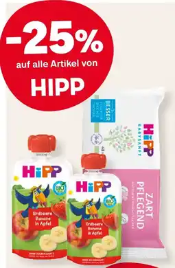 MPreis Hipp Angebot