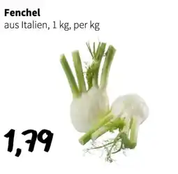 Der Grissemann Fenchel Angebot