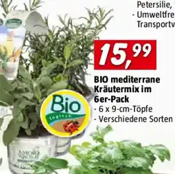 Bauhaus Bio mediterrane kräutermix im 6er-pack Angebot