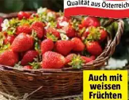 Bauhaus Piardino Erdbeere Sonata Angebot