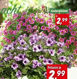 Bauhaus Piardino Zauberglöckchen Angebot