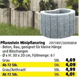 Bauhaus Seesteiner Pflanzstein Minipflanzring Angebot