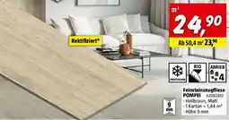 Bauhaus Atlas Concorde Solution Feinsteinzeugfliese Pompeo Aureo Classic Angebot