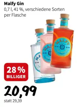 Der Grissemann Malfy Gin Angebot