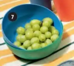 Pagro Diskont Schüssel Angebot