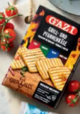 Hofer Gazi Grill-Pfannenkäse Angebot