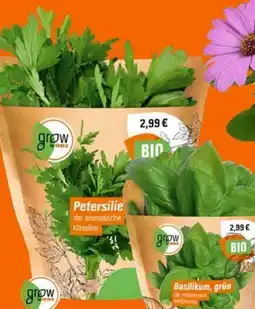 OBI Grow by Obi Bio Kräuter Angebot