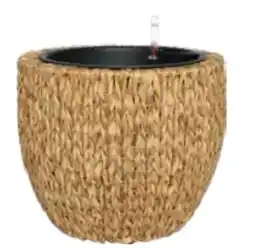 OBI Pflanztöpfe Angebot